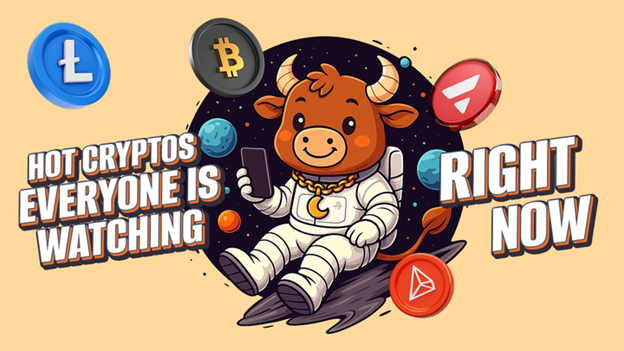 Big Money’s Next Move: 8 Top Coins to Buy and Hold for Long Term in October 2025 Before Q4 Rally Hits